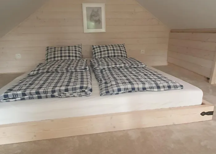 Pod Sosnowym Lasem Semesterbostad