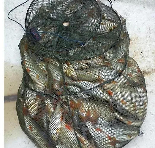 Pod Sosnowym Lasem Semesterbostad Borowy Mlyn