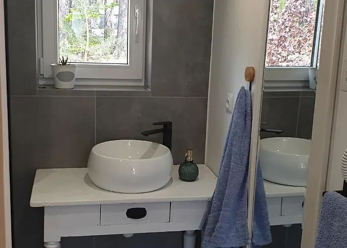 Pod Sosnowym Lasem Semesterbostad *